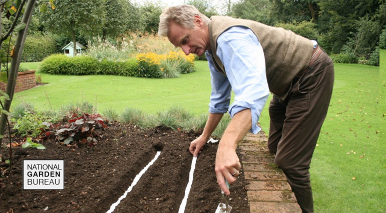What are Seed Tapes and How Do I Use Them?